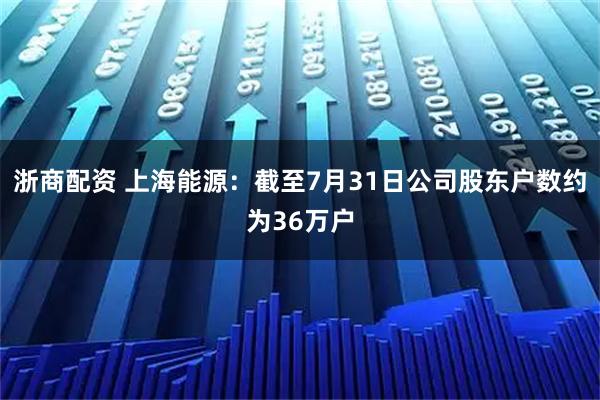 浙商配资 上海能源：截至7月31日公司股东户数约为36万户
